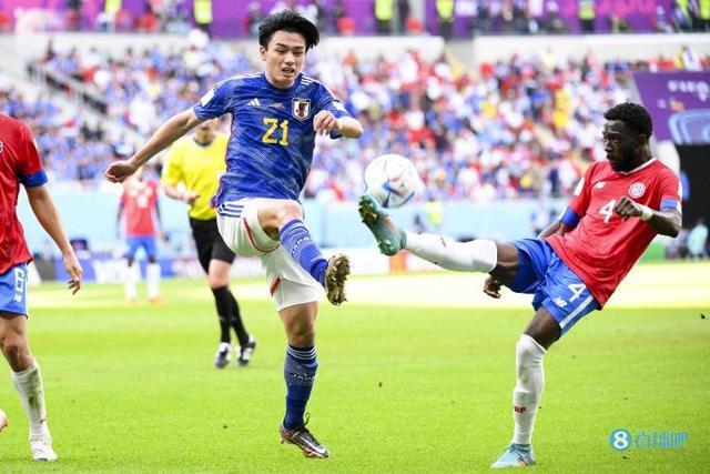 供了保障 供了保障