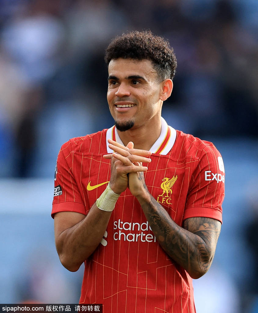 精心设计了 精心设计了