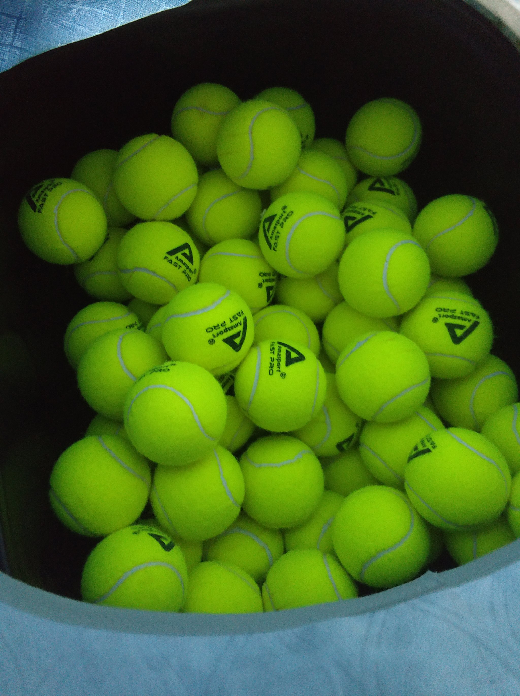 因为他们在 因为他们在